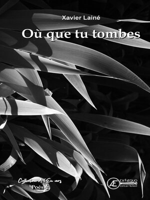 cover image of Où que tu tombes